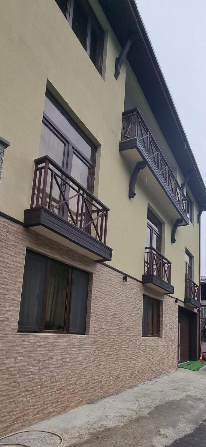Villa Beridze Borjomi Exterior foto