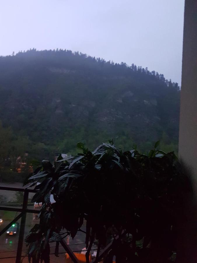 Villa Beridze Borjomi Exterior foto